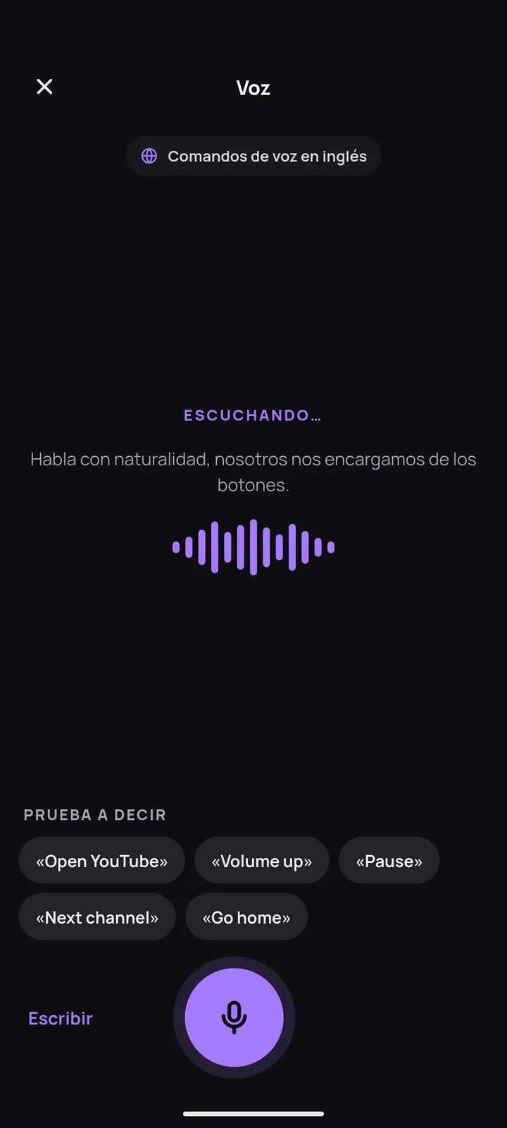 Pantalla de comandos de voz
