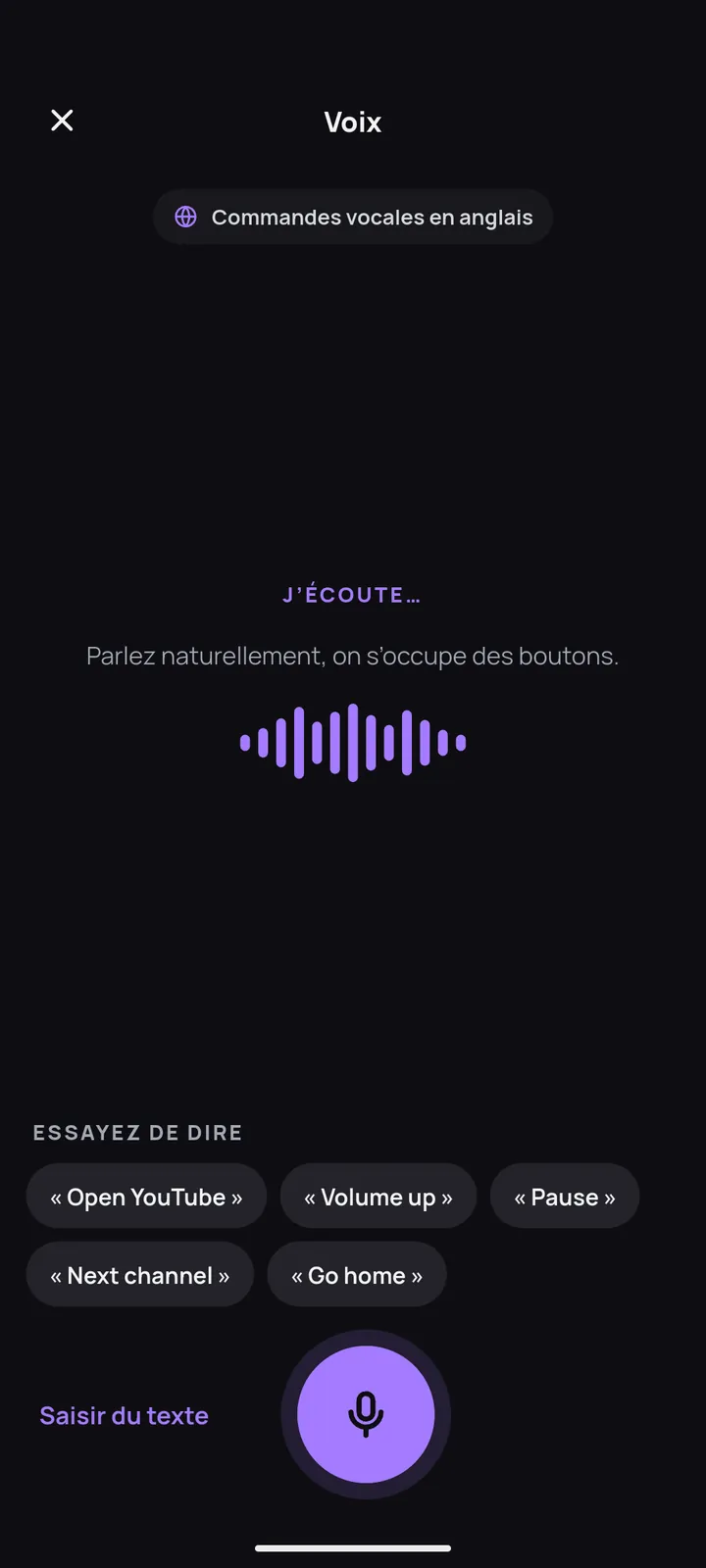 Écran des commandes vocales